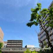 ヒメ日記 2026/04/28 11:14 投稿 平田えみ 五十路マダムエクスプレス横浜店（カサブランカグループ）