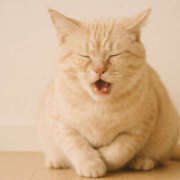 ヒメ日記 2025/10/11 17:06 投稿 湊 熟女待機所 厚木店