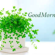 ヒメ日記 2025/11/02 08:46 投稿 湊 熟女待機所 厚木店