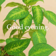 ヒメ日記 2025/11/03 18:26 投稿 湊 熟女待機所 厚木店