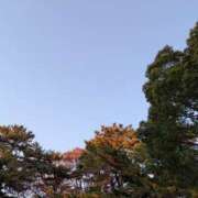 ヒメ日記 2025/12/09 10:25 投稿 湊 熟女待機所 厚木店