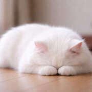 ヒメ日記 2025/12/19 14:25 投稿 湊 熟女待機所 厚木店