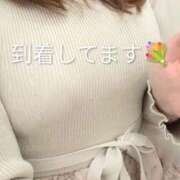 ヒメ日記 2026/01/31 11:05 投稿 湊 熟女待機所 厚木店