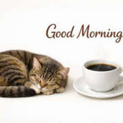 ヒメ日記 2026/02/20 09:05 投稿 湊 熟女待機所 厚木店