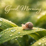 ヒメ日記 2026/02/23 07:45 投稿 湊 熟女待機所 厚木店