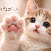 ヒメ日記 2026/03/09 12:06 投稿 湊 熟女待機所 厚木店