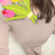 ヒメ日記 2026/03/14 10:46 投稿 湊 熟女待機所 厚木店