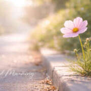 ヒメ日記 2026/03/19 08:06 投稿 湊 熟女待機所 厚木店