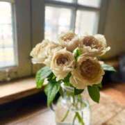 ヒメ日記 2025/09/23 09:17 投稿 川村 あなたに逢いたくて