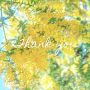 ヒメ日記 2025/10/03 23:17 投稿 川村 あなたに逢いたくて