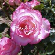 ヒメ日記 2025/10/05 17:07 投稿 川村 あなたに逢いたくて