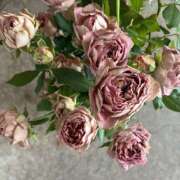 ヒメ日記 2025/10/05 19:37 投稿 川村 あなたに逢いたくて