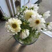 ヒメ日記 2025/10/06 23:57 投稿 川村 あなたに逢いたくて