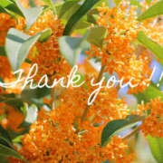 ヒメ日記 2025/10/08 22:47 投稿 川村 あなたに逢いたくて