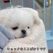 ヒメ日記 2025/09/06 11:54 投稿 まいか ウルトラドリーム