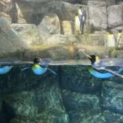 ヒメ日記 2025/10/06 22:07 投稿 なるみ クリスタル セカンド