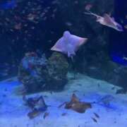 ヒメ日記 2025/10/15 11:00 投稿 なるみ クリスタル セカンド