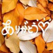 ヒメ日記 2025/10/29 15:28 投稿 あん クリスタル セカンド