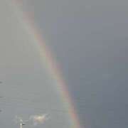 とも こんにちは^_^ クリスタル セカンド