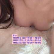 ヒメ日記 2025/11/15 11:33 投稿 まい クリスタル セカンド