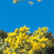 ヒメ日記 2026/03/10 10:22 投稿 まい クリスタル セカンド