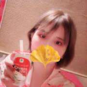 ヒメ日記 2025/12/04 03:47 投稿 ゆうり 横浜人妻花壇本店