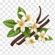 ヒメ日記 2025/10/30 21:49 投稿 れん おいらん遊郭