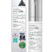 ヒメ日記 2025/11/25 08:45 投稿 れん おいらん遊郭