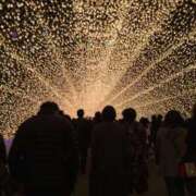 ヒメ日記 2025/11/30 21:53 投稿 れん おいらん遊郭