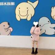 らて 🐧🐧🐧 でりどす