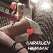 ヒメ日記 2025/10/06 14:59 投稿 楠木 ひまわり 快楽園 大阪梅田