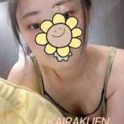 ヒメ日記 2025/10/09 12:59 投稿 楠木 ひまわり 快楽園 大阪梅田