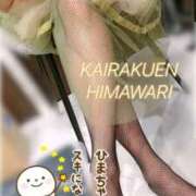 ヒメ日記 2025/11/17 22:29 投稿 楠木 ひまわり 快楽園 大阪梅田