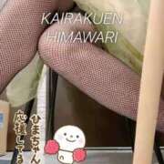 ヒメ日記 2025/11/22 06:39 投稿 楠木 ひまわり 快楽園 大阪梅田