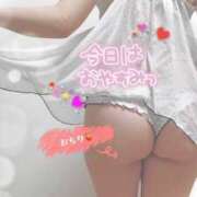 ヒメ日記 2025/12/17 14:59 投稿 楠木 ひまわり 快楽園 大阪梅田