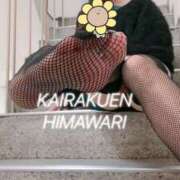 ヒメ日記 2025/12/21 19:19 投稿 楠木 ひまわり 快楽園 大阪梅田