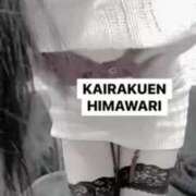 ヒメ日記 2026/01/19 02:59 投稿 楠木 ひまわり 快楽園 大阪梅田