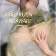 ヒメ日記 2026/01/29 20:39 投稿 楠木 ひまわり 快楽園 大阪梅田