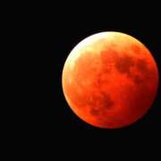 ヒメ日記 2025/09/08 13:00 投稿 ここな ニューヨーカー