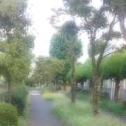 ヒメ日記 2025/08/30 00:43 投稿 むつみ 熟女の風俗最終章 国分寺店