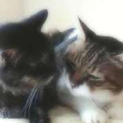 ヒメ日記 2025/09/30 01:03 投稿 むつみ 熟女の風俗最終章 国分寺店