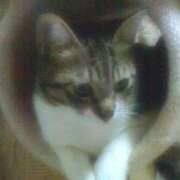 ヒメ日記 2025/10/09 19:53 投稿 むつみ 熟女の風俗最終章 国分寺店