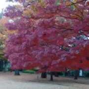 ヒメ日記 2025/11/25 18:43 投稿 むつみ 熟女の風俗最終章 国分寺店