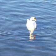 ヒメ日記 2026/02/04 17:01 投稿 むつみ 熟女の風俗最終章 国分寺店