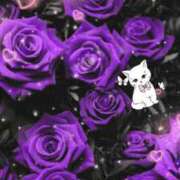 ヒメ日記 2025/12/01 11:53 投稿 けいこ 熟女の風俗最終章 国分寺店