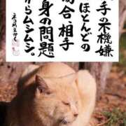 ヒメ日記 2026/02/06 14:18 投稿 りつ 熟女の風俗最終章 国分寺店