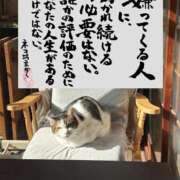 ヒメ日記 2026/02/28 15:44 投稿 りつ 熟女の風俗最終章 国分寺店