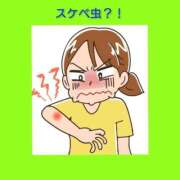 ヒメ日記 2025/09/08 06:23 投稿 このは 熟女の風俗最終章 国分寺店