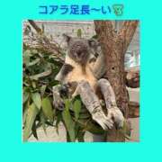 ヒメ日記 2025/12/14 06:23 投稿 このは 熟女の風俗最終章 国分寺店