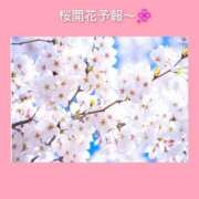 ヒメ日記 2026/03/15 06:33 投稿 このは 熟女の風俗最終章 国分寺店